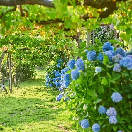 Outeiro Tuias - Manor House Marco de Canaveses