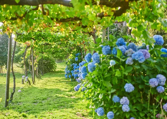 Outeiro Tuias - Manor House Marco de Canavezes